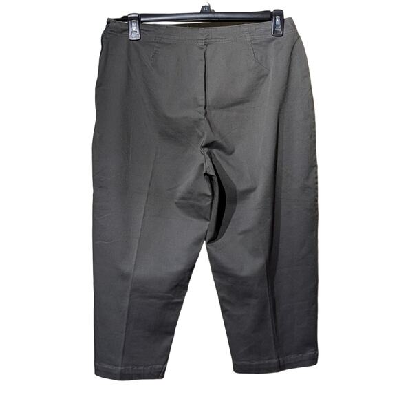 Gloria Vanderbilt Loden Side Zip No Waistband Flat Front Pedal Pusher Pant Sz 14 - Picture 11 of 11